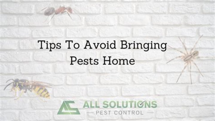 Best tips to avoid pests at home