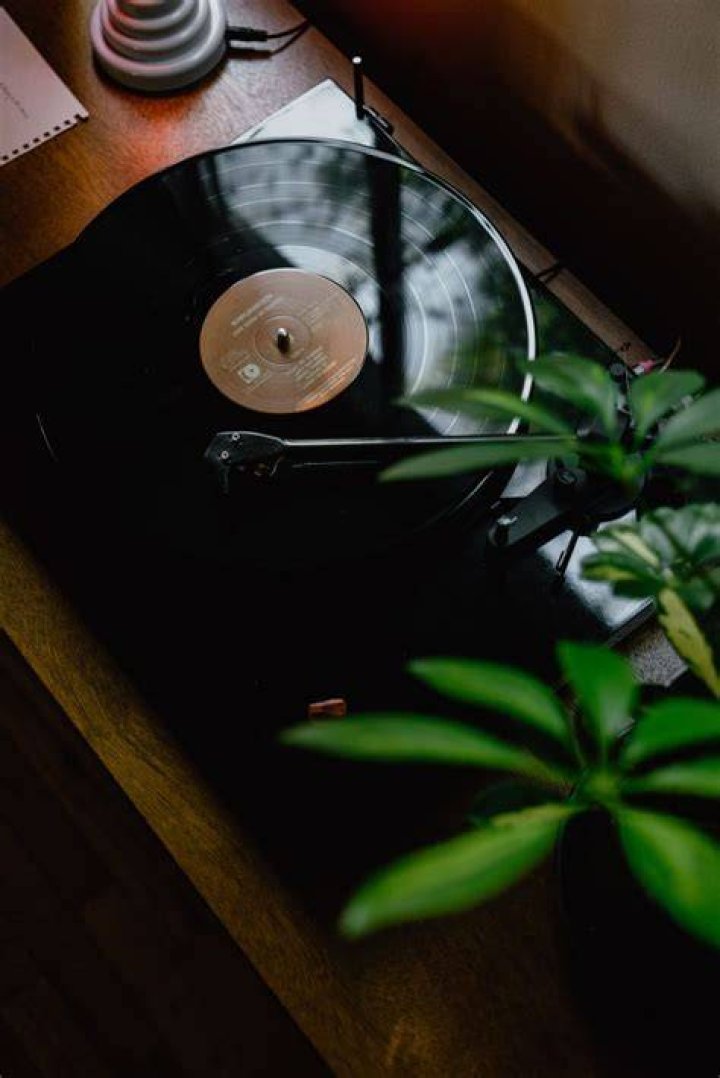 Best Types Of Vinyls To Add To Your Vinyl Record Collection