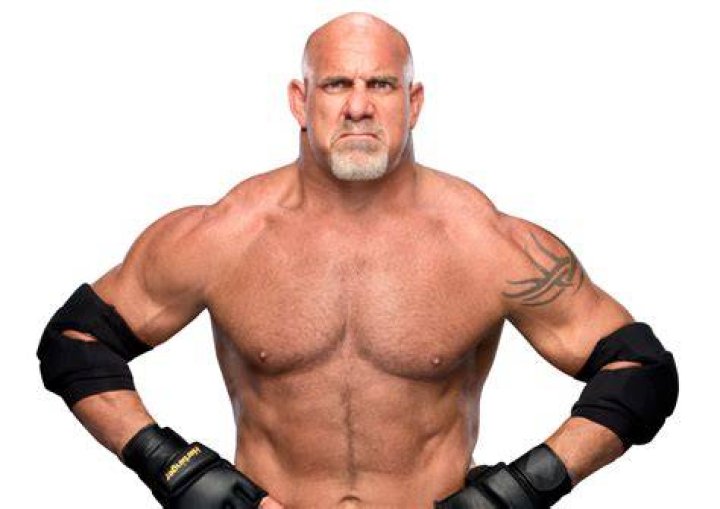 Bill Goldberg Bio, Wife, Son, Family, Age, Height, Weight, Net Worth Bill Goldberg