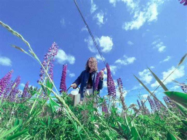 chasing luma Releases Grand Debut Album – ‘you need to water flowers for them to grow’