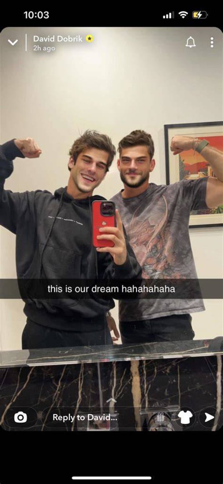 David-Dobrik