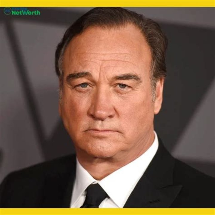 Fame | Jim Belushi net worth and salary income estimation Apr, 2024