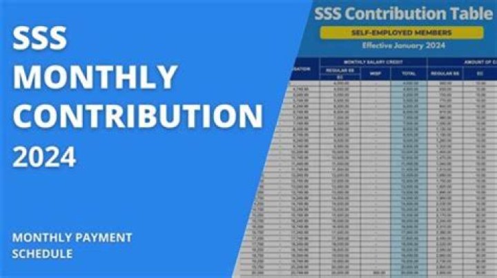 Fame | Lacey Beeman net worth and salary income estimation Jan, 2024