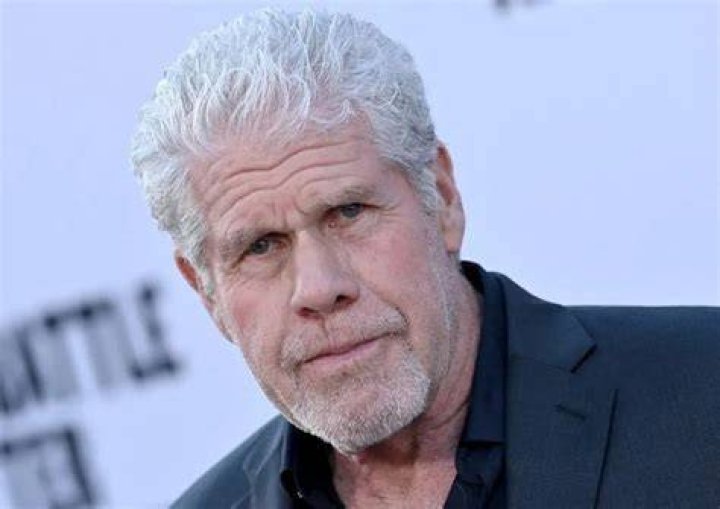 Fame | Ron Perlman net worth and salary income estimation Jan, 2024