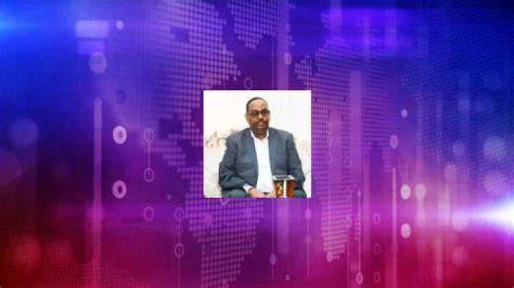 Fame | Said Abdullahi Dani net worth and salary income estimation Apr, 2024