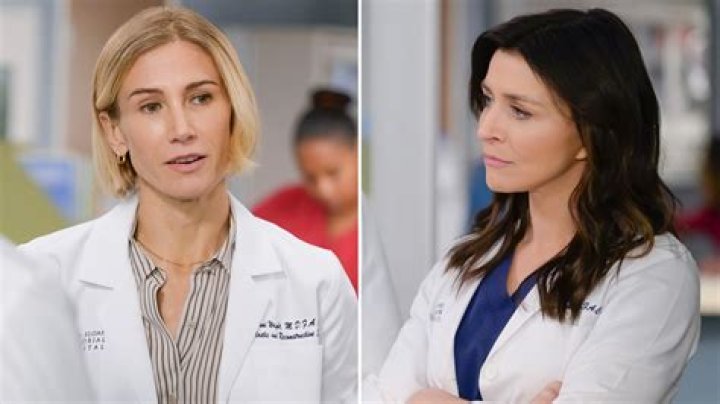Grey&rsquo;s Anatomy Recap 11/14/19: Season 16 Episode 8 "My Shot"