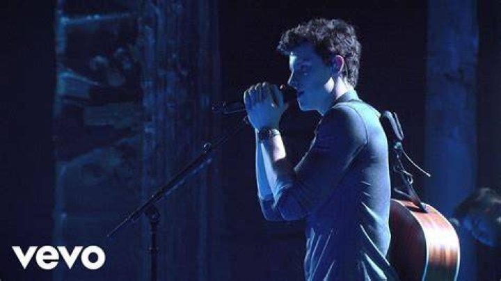 Hidden Hits: Shawn Mendes' "Bad Reputation"
