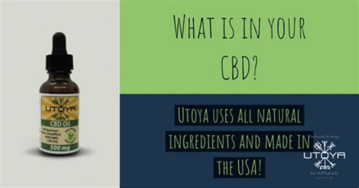 Know Which Celebrities Love and Use CBD Oil