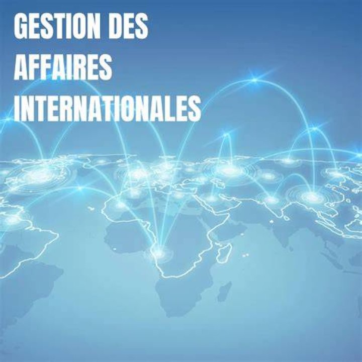 Ma&icirc;trise des Affaires Internationales (2004-2005)