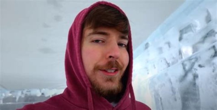 Mr Beast Mort De Quoi