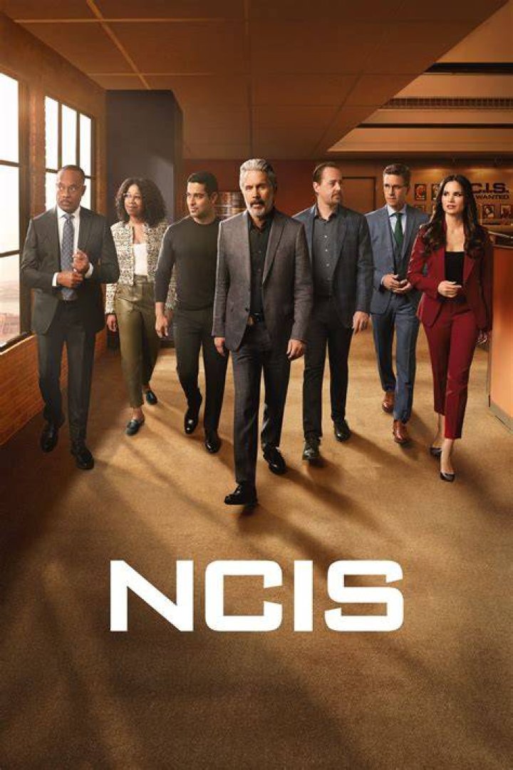 NCIS Recap 3/28/17: Season 14 Episode 19 “The Wall”