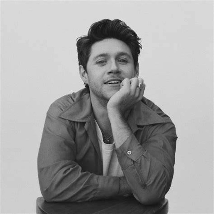 Niall Horan's 'Slow Hands' reaches number one in the US