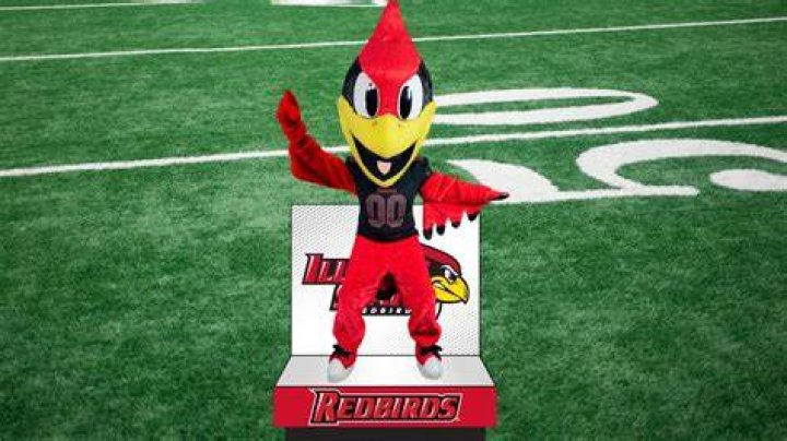 Reggie Bird age
