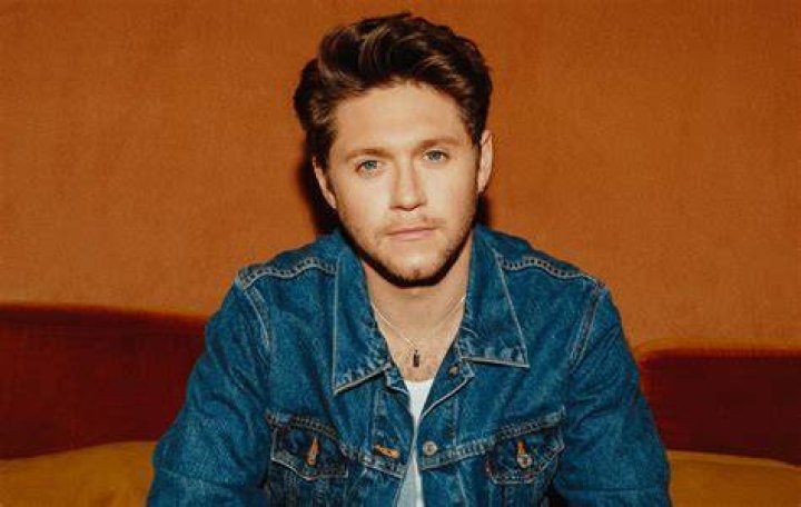 Which Niall Horan Sports Expression Are You?