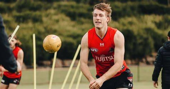 Will Setterfield wiki, bio, age, net worth 2018