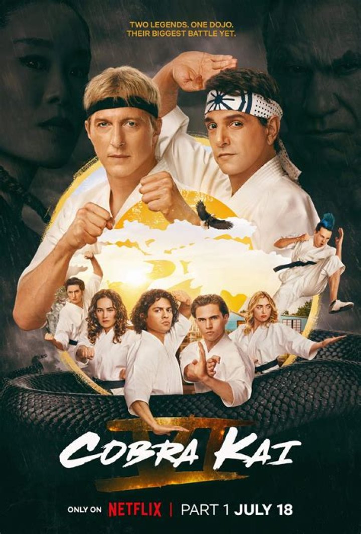 YouTube Renews 'Cobra Kai' For a Second Season